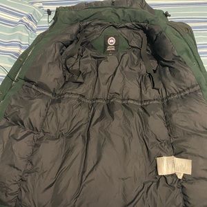 Canada goose